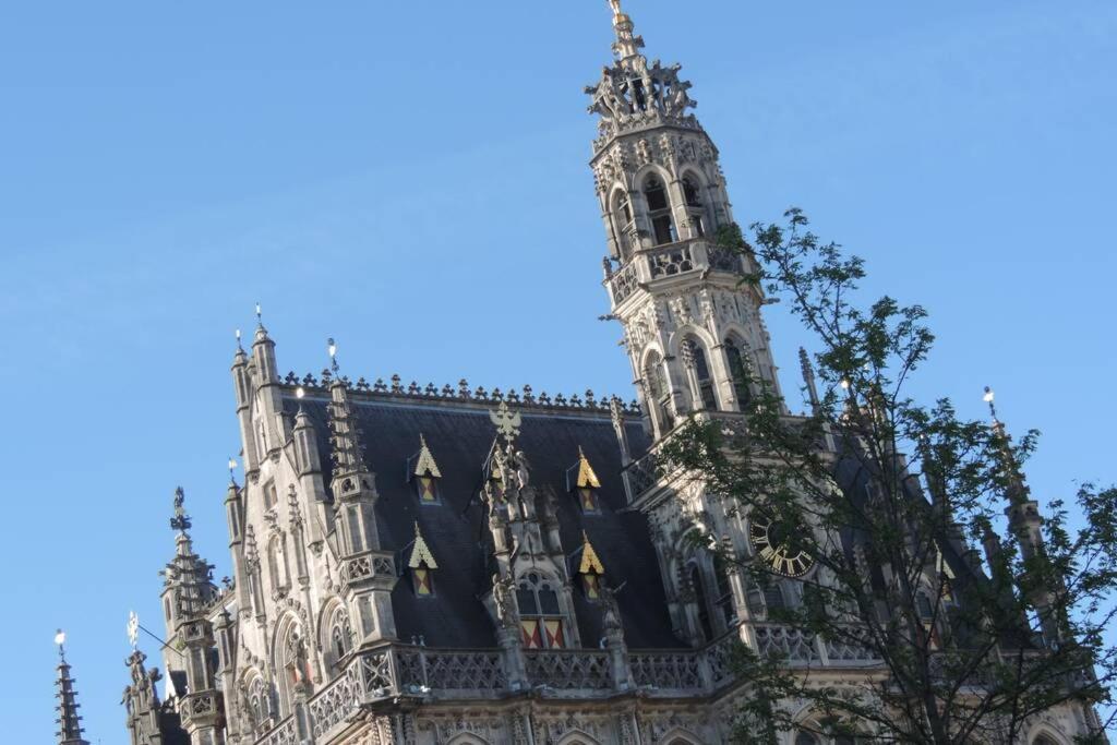 Vakantiewoning Zoetebeek * Oudenaarde