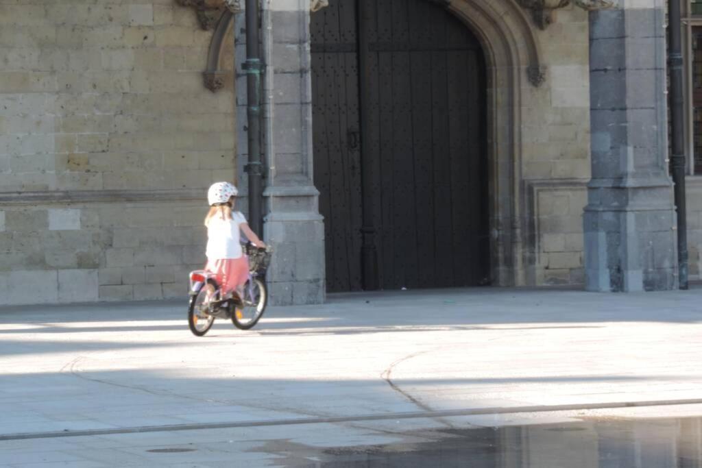 Vakantiewoning Zoetebeek Oudenaarde