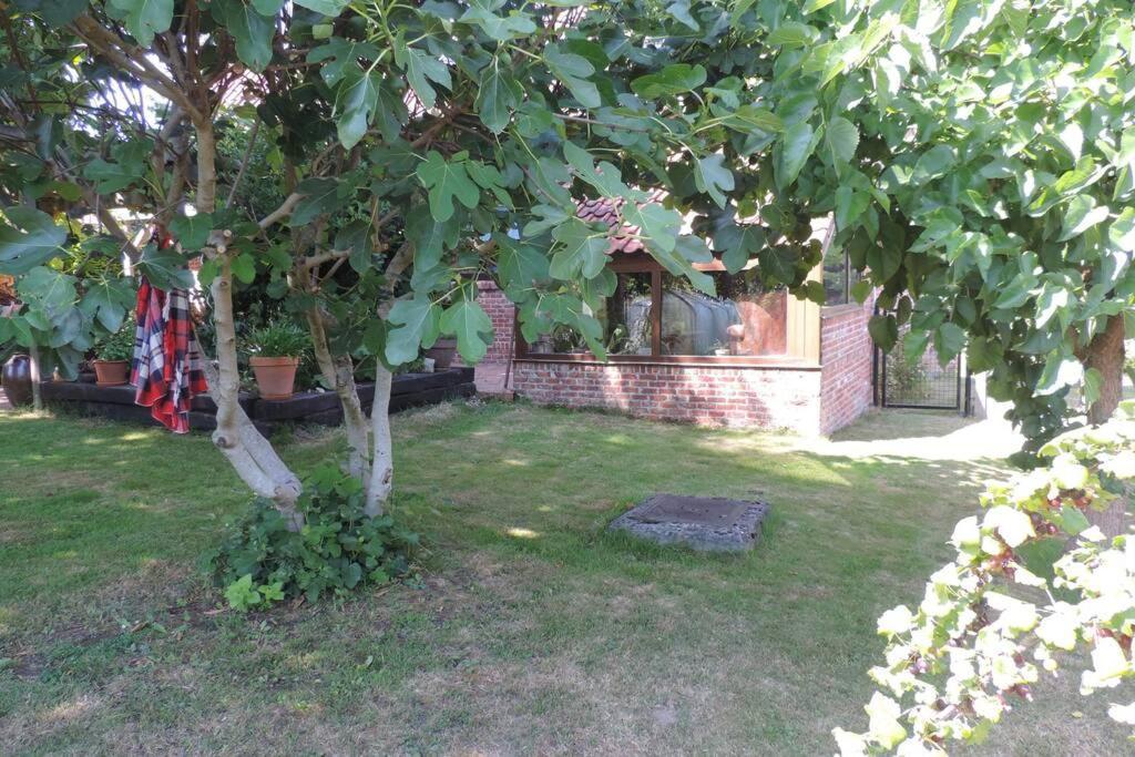 Ferienhaus Vakantiewoning Zoetebeek Oudenaarde